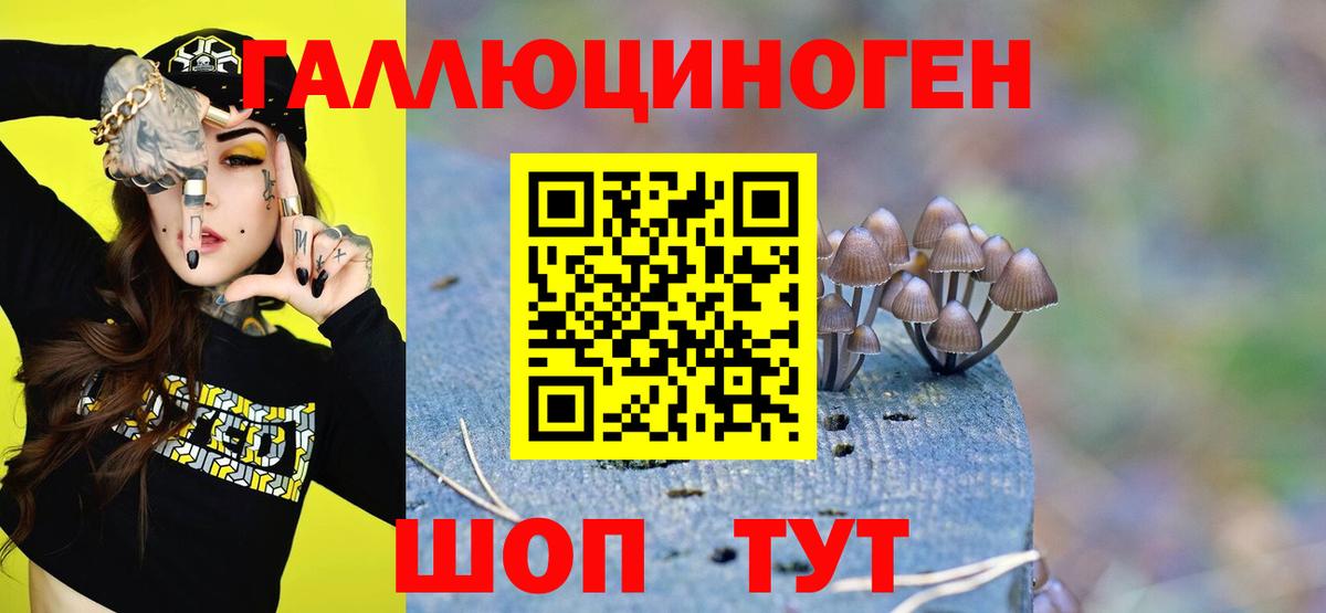 Псилоцибиновые грибы прущие грибы Гусиноозёрск
